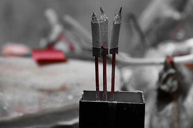 环保科普向游戏《林中人》免费推出 支持简中